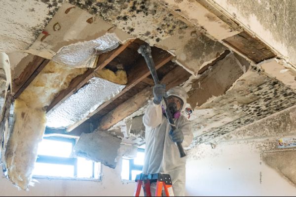 Home 3 Mold-Remediation