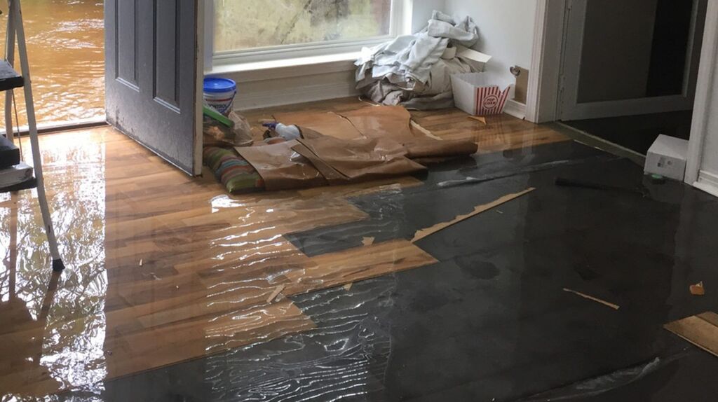 Water Damage Restoration in Richwoods