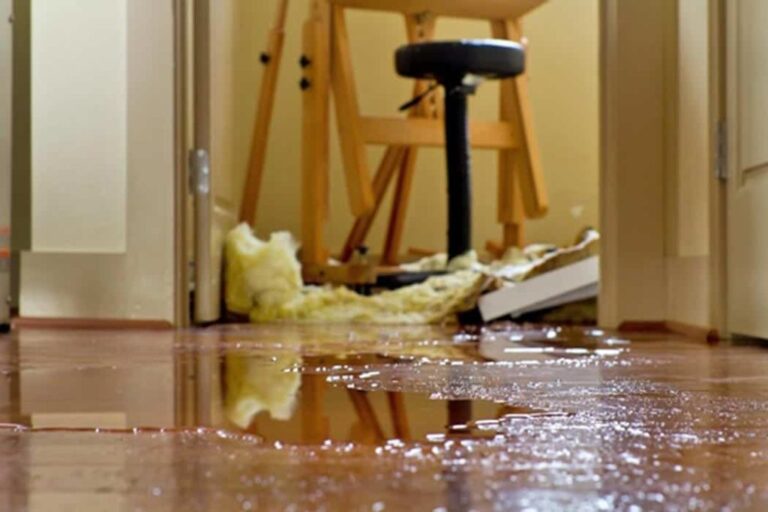 Appliance Leak Cleanup in Frisco