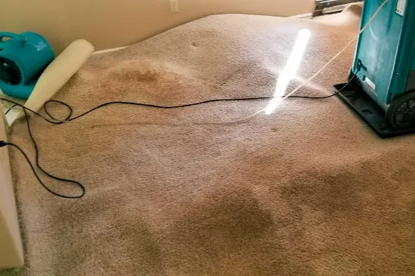 Home 20 Carpet Water Damage