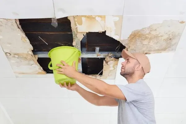 Home 23 Ceilings water damage
