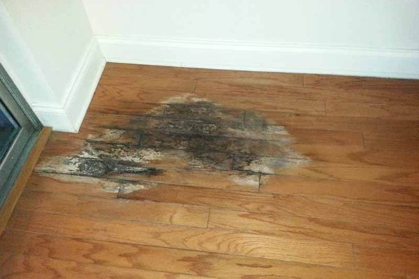 Home 19 Hardwood flooring