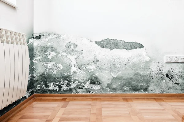 Signs of Water Damage in Frisco Homes (And How to Spot Them Early) 3 sign of water damage in frisco