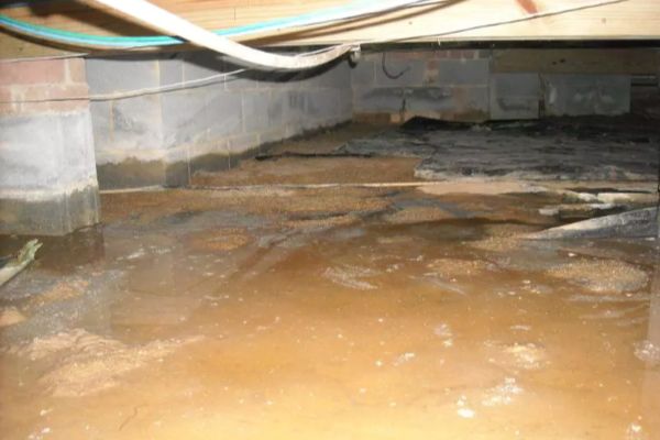 Crawlspace water damage cleanup in Frisco TX