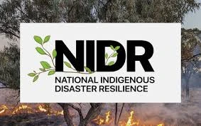 Home 33 National-Institute-of-Disaster-Restoration-NIDR