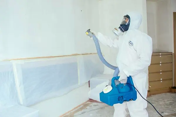 Home 14 Odor removal