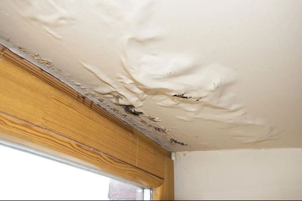 Water damaged ceiling with mold