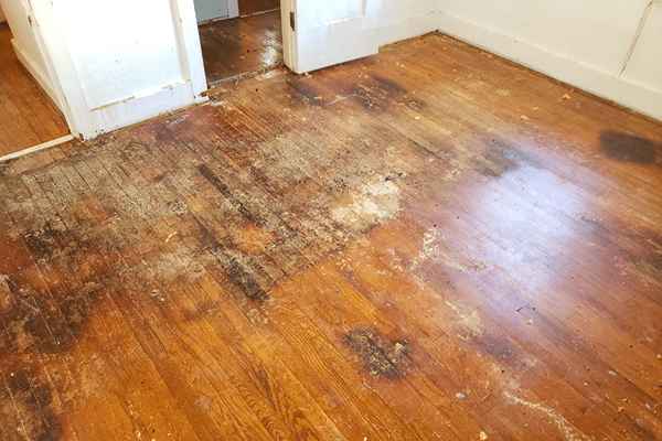 Hardwood floor drying in Frisco TX